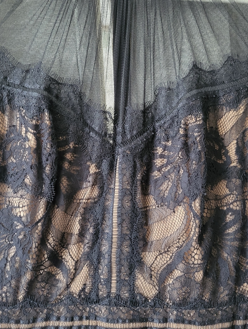 NWT Tadashi Shoji Camille Tea Length Lace Dress Black Nude Size 8 - Picture 4 of 9